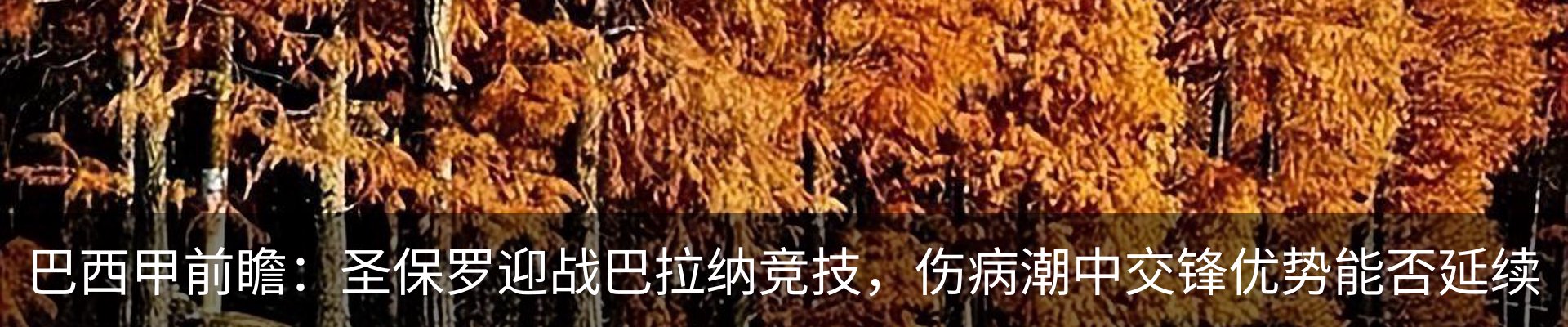 行业资讯