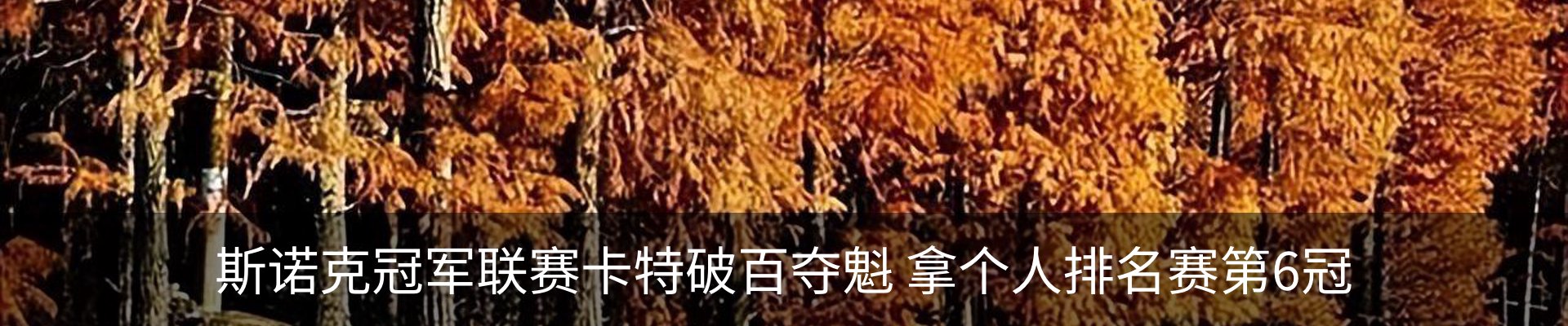 行业资讯