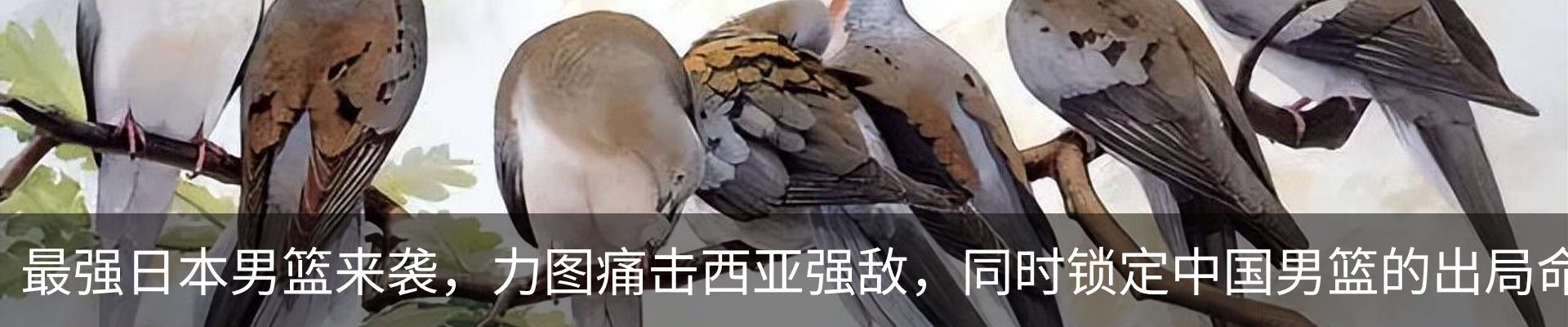 行业资讯