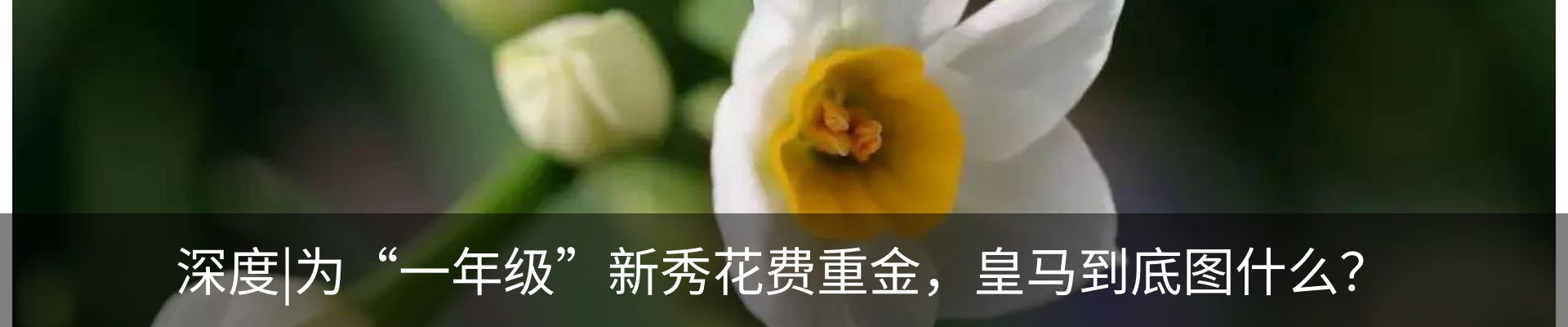 行业资讯