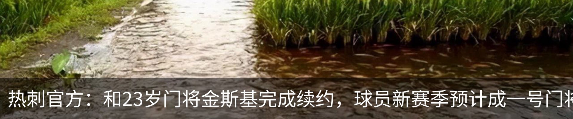 行业资讯