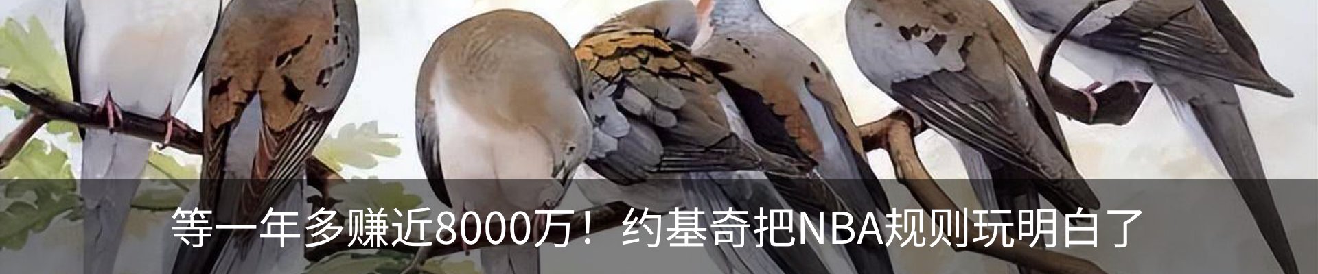 行业资讯