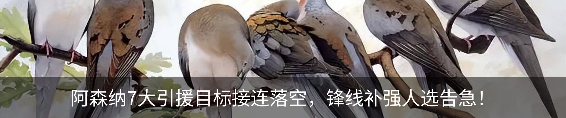 行业资讯