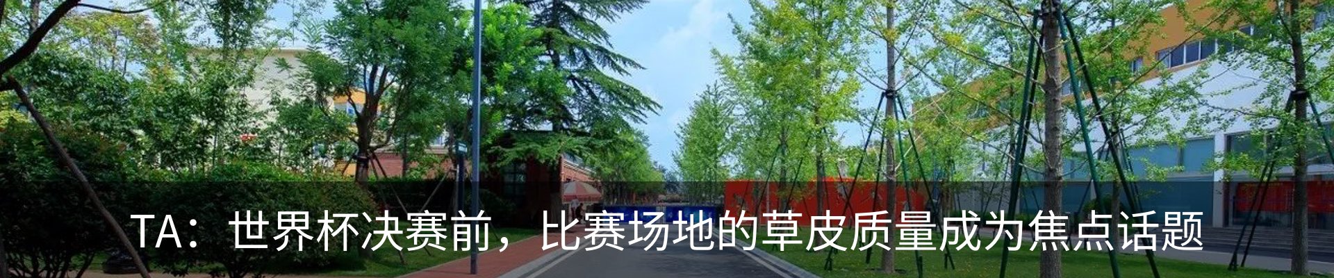行业资讯